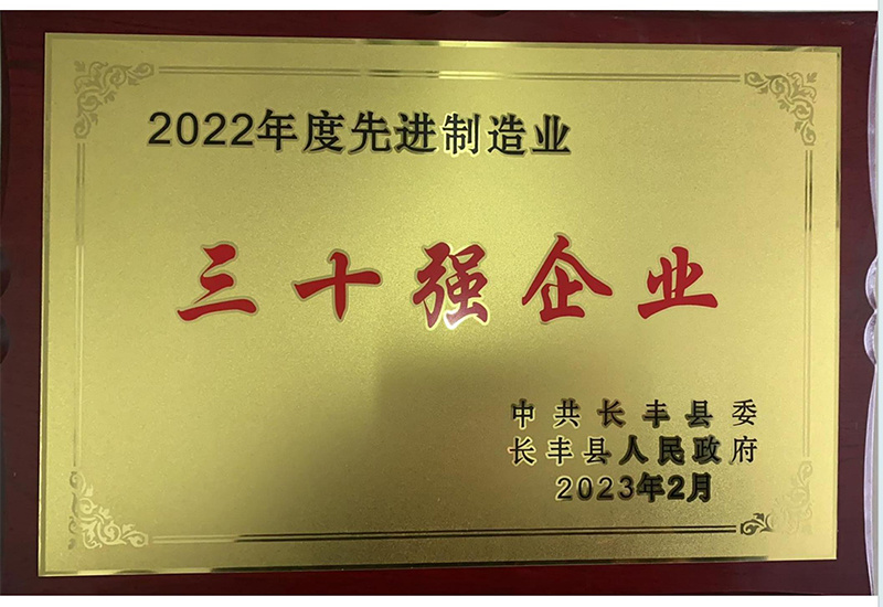 2022年度先进制造业三十强-长丰县人民金年会